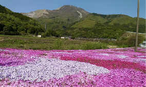伊吹山の写真